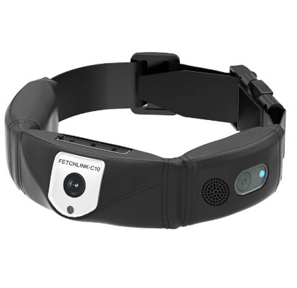 C10 Smart Pet Health Collar