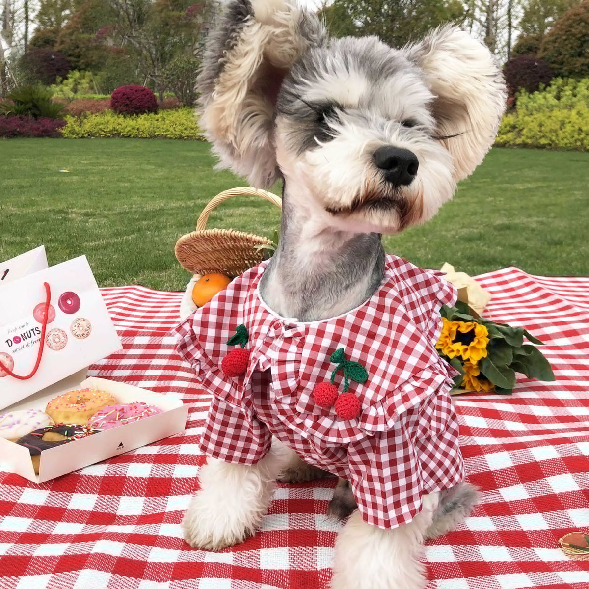 Summer Thin Checkered Shirt for Small Dogs