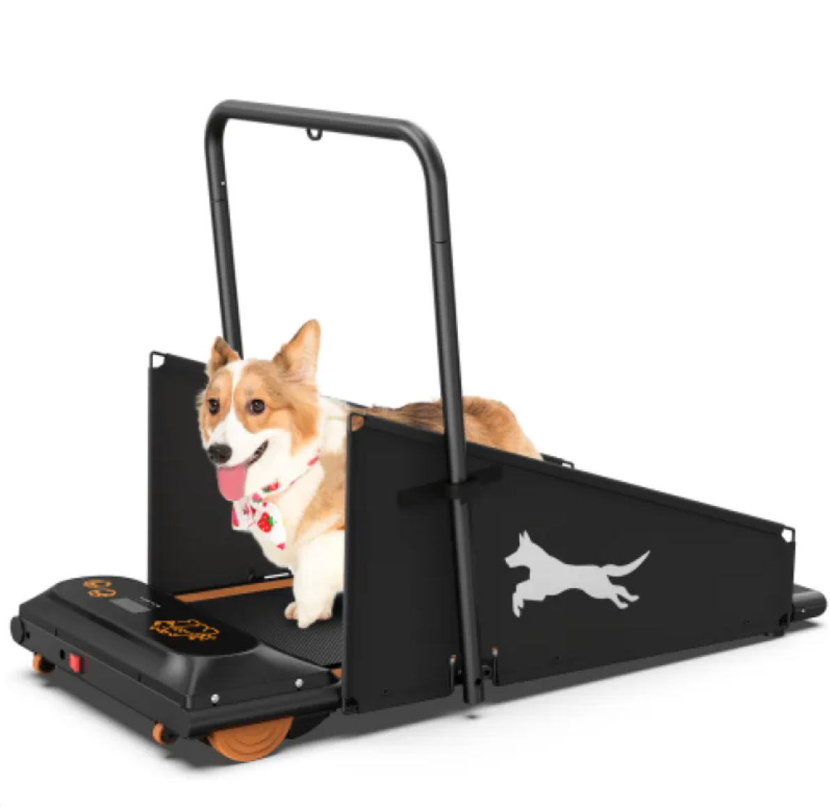 Dog Treadmill for Small and Medium Dogs